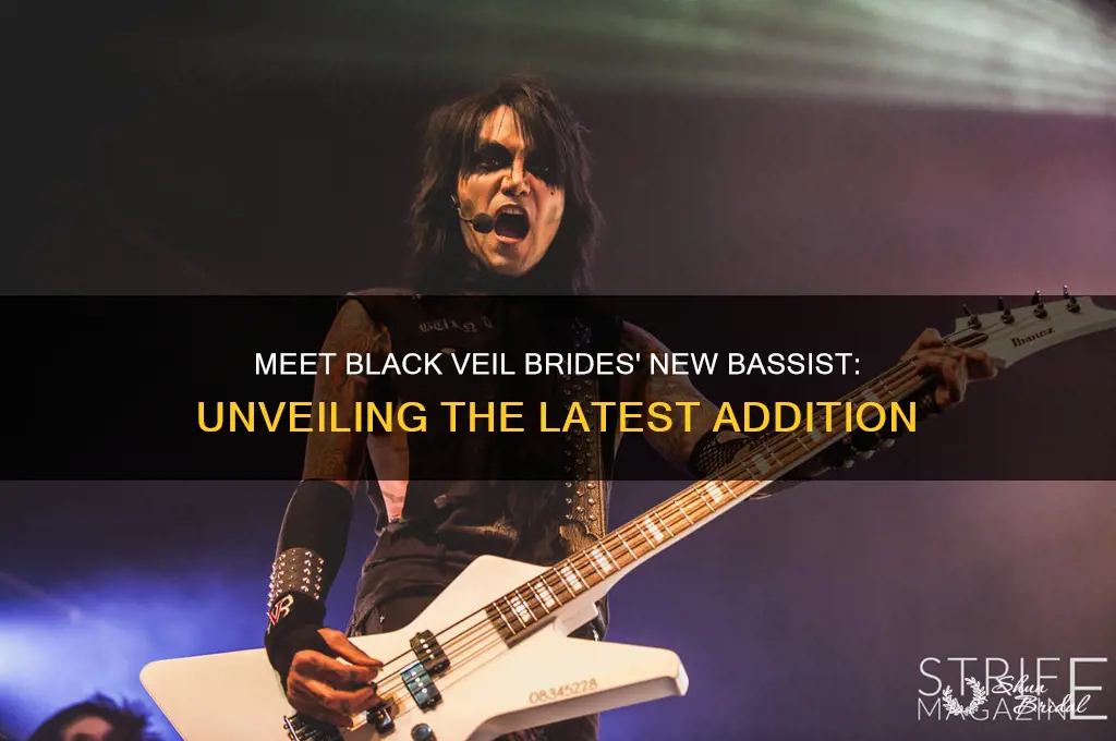 who is black veil brides new bassist