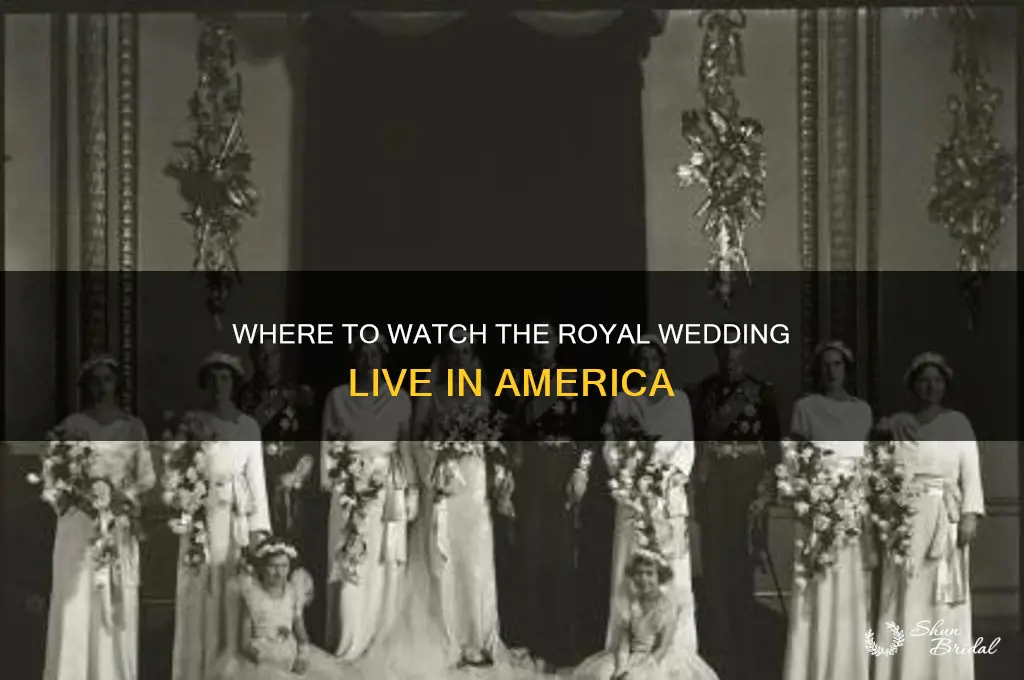who is broadcasting the royal wedding in america