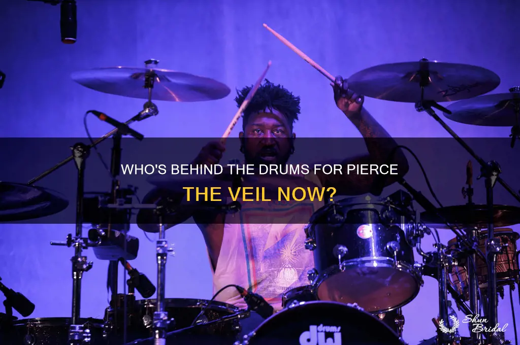 who is drumming for pierce the veil