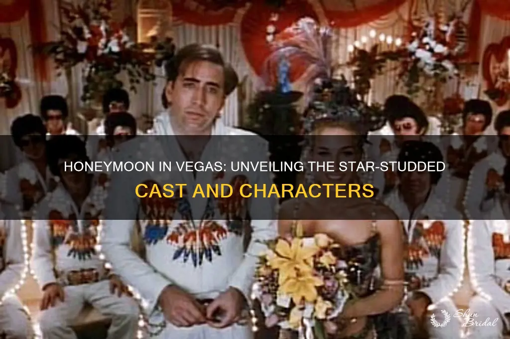 who is in honeymoon in vegas
