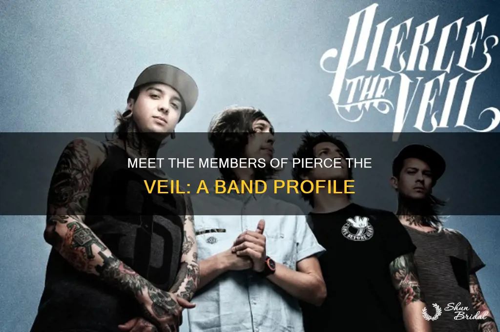 who is in pierce the veil