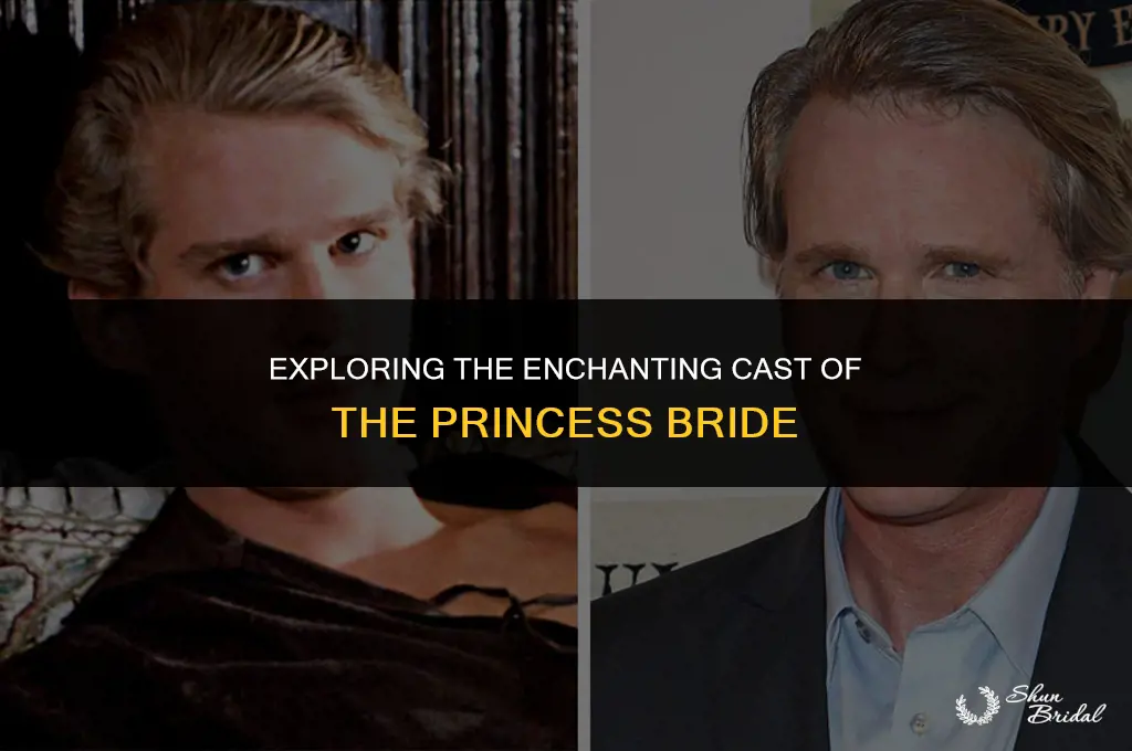 who is in the princess bride