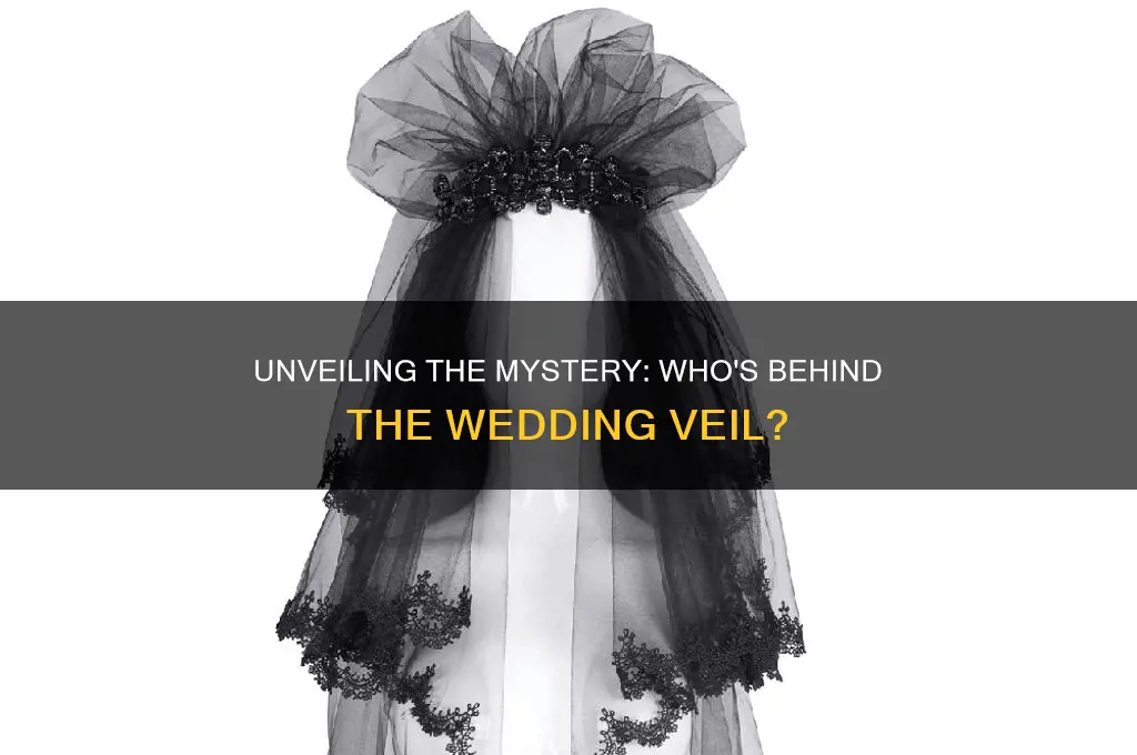 who is in the wedding veil