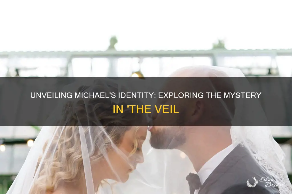 who is michael in the veil