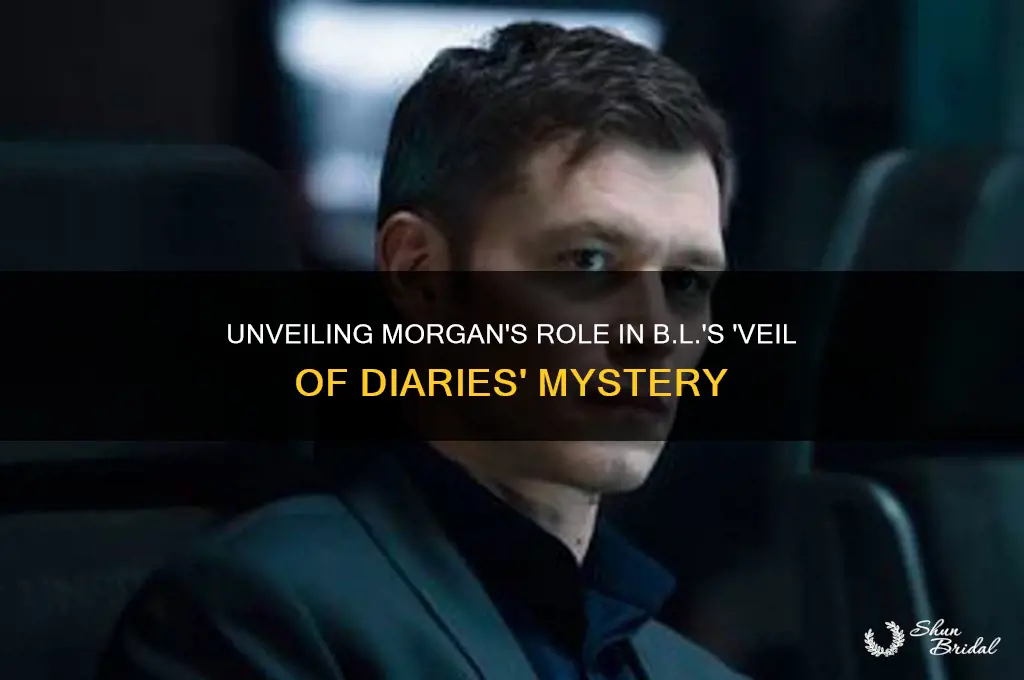 who is morgan in veil of diaries by b l