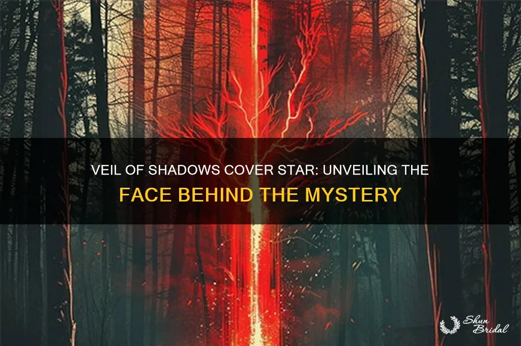 who is on the cover of veil of shadows