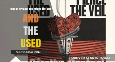 Discover the Opening Acts for Pierce the Veil and The Used Tour
