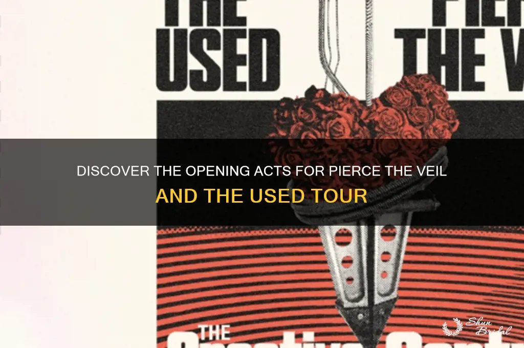 who is opening for pierce the veil and the used