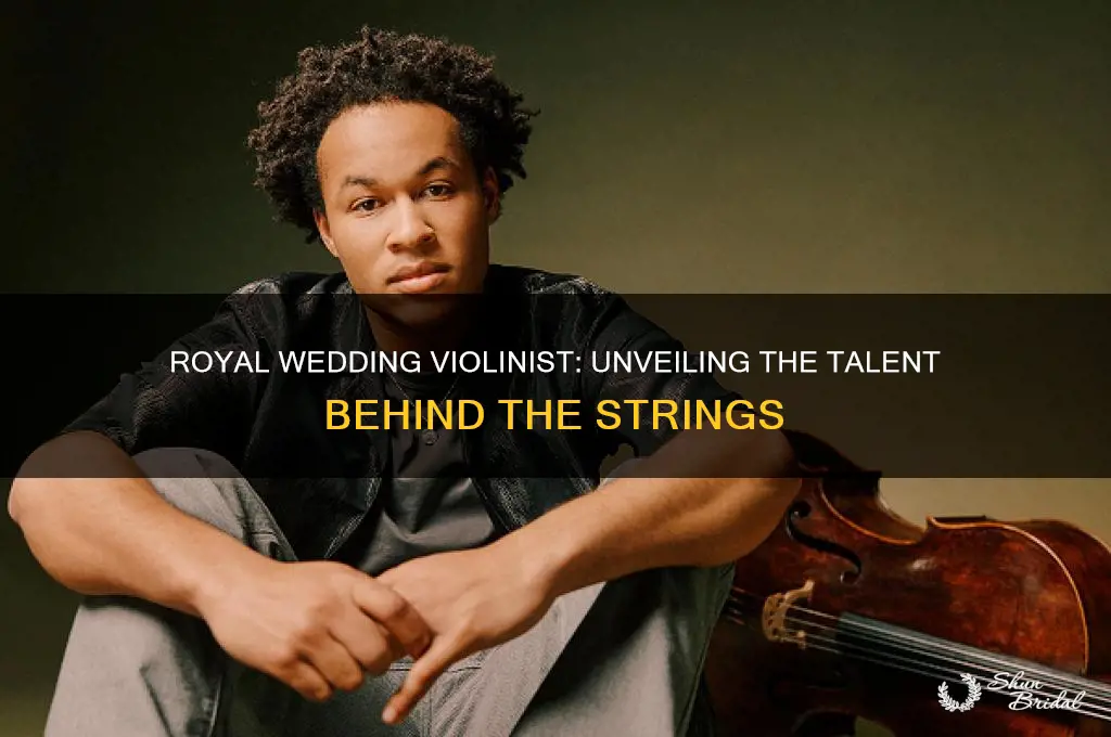 who is playing the violin at the royal wedding