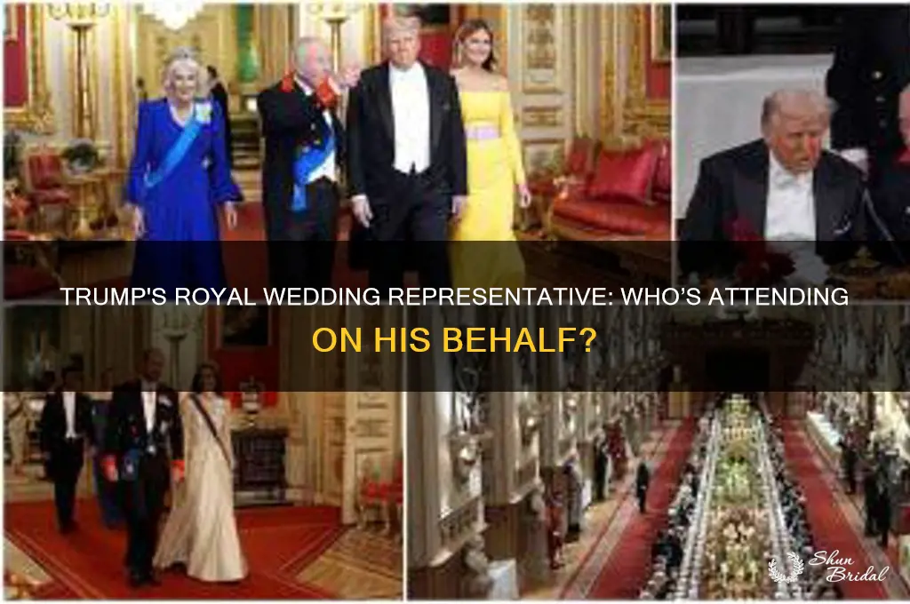 who is representing trump at the royal wedding