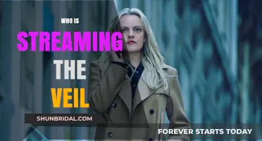 Who's Streaming 'The Veil'? Top Platforms to Watch Now