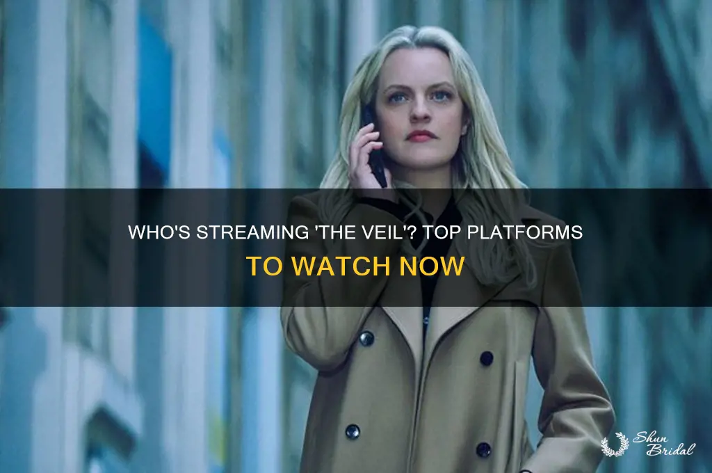 who is streaming the veil