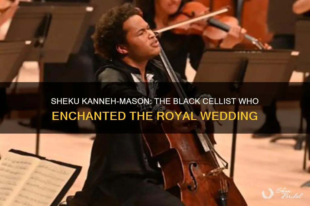 who is the black cellist at the royal wedding