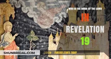 Unveiling the Bride of the Lamb: A Revelation 19 Perspective