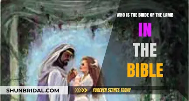 Unveiling the Mystery: Who Is the Bride of the Lamb in the Bible?