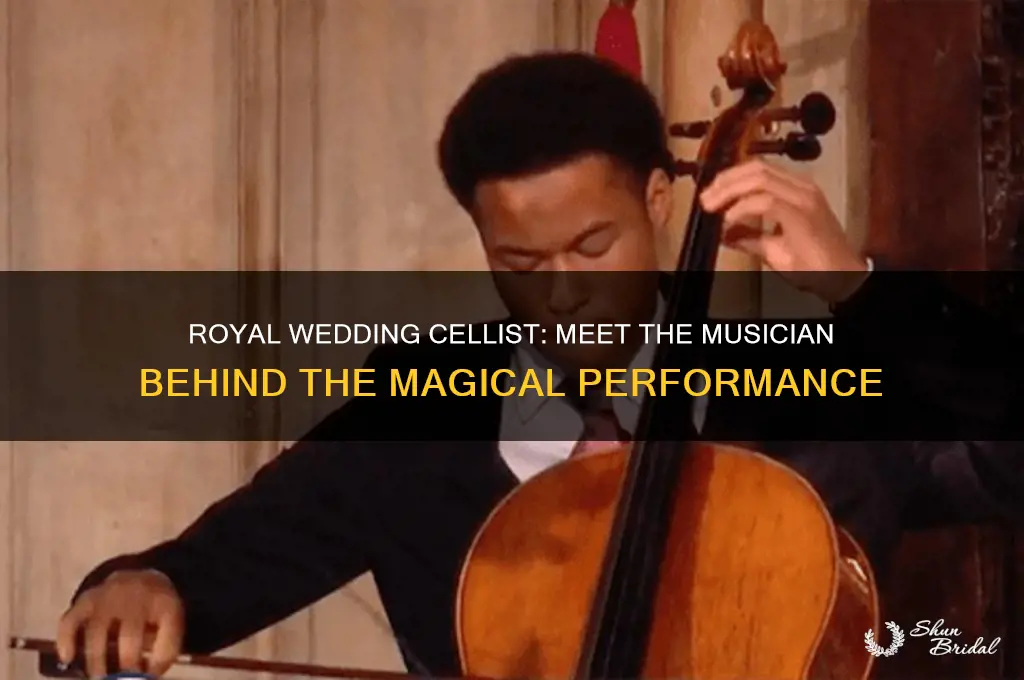 who is the chellist that played at the royal wedding