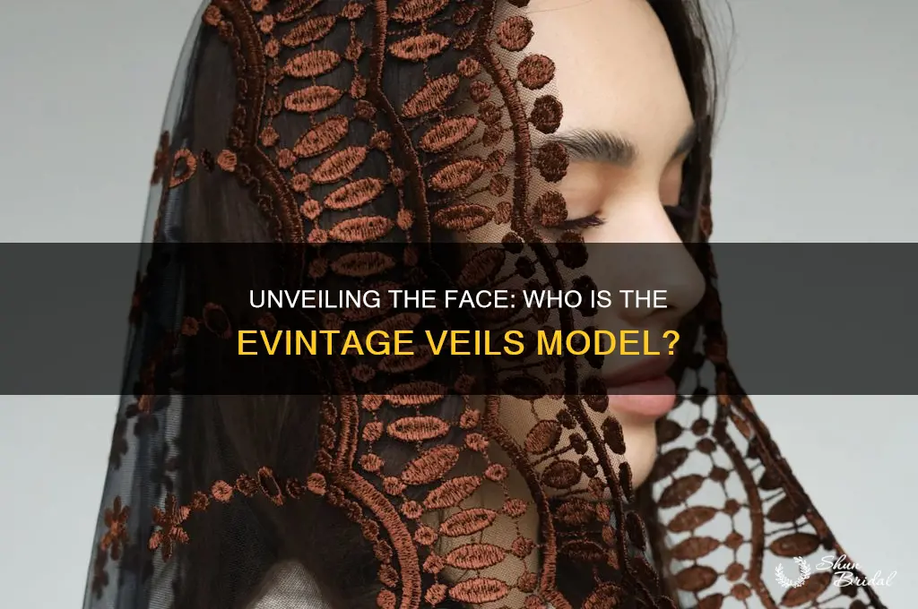who is the evintage veils model