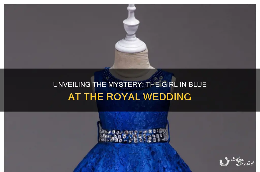 who is the girl in blue at royal wedding
