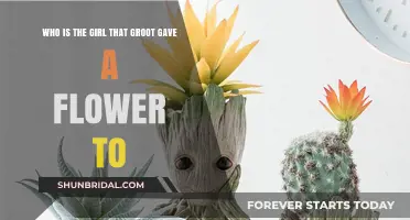 Groot's Heartfelt Gesture: Unveiling the Girl Behind the Flower