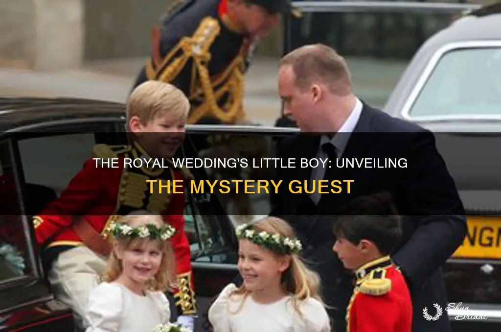 who is the little boy at the royal wedding