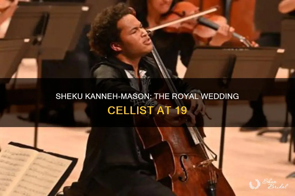who is the royal wedding cellist 19-year-old sheku kanneh-mason