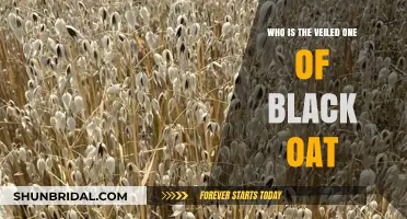 Unveiling the Mystery: Who is the Veiled One of Black Oats?