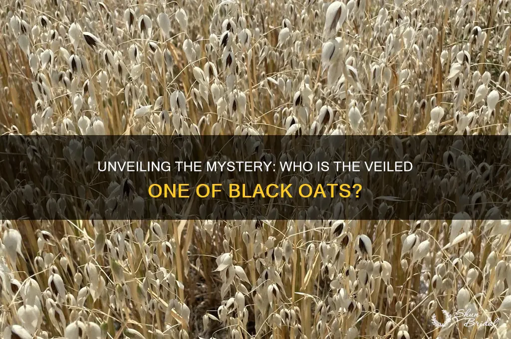 who is the veiled one of black oat