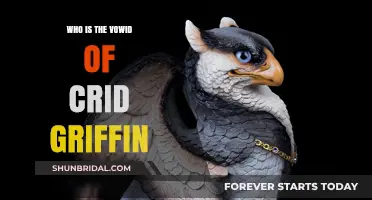 Unveiling the Mystery: Who is the Vowid of Crid Griffin?