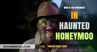 Unmasking the Werewolf in Haunted Honeymoon: A Mystery Solved