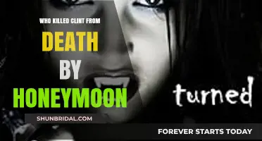 Unraveling the Mystery: Who Killed Clint in Death by Honeymoon?