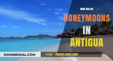 The Disappearance of Antigua Honeymoons: Unraveling the Mystery Behind the Decline