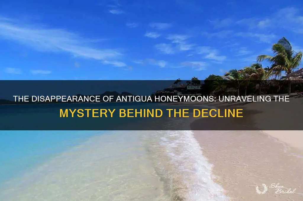 who killed honeymoons in antigua