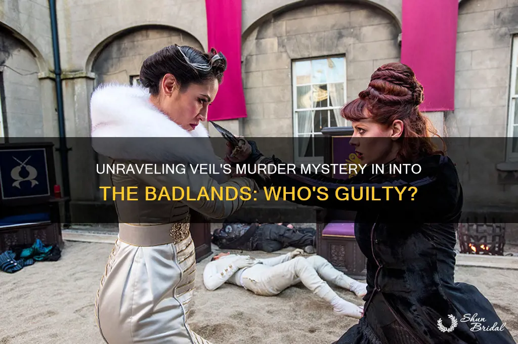 who killed veil in into the badlands