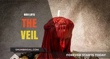 Unveiling Truth: Who Lifts the Veil in a World of Secrets?