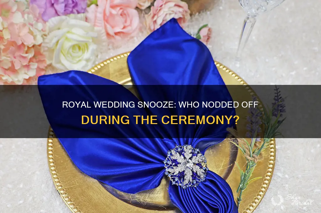 who nodded off at the royal wedding