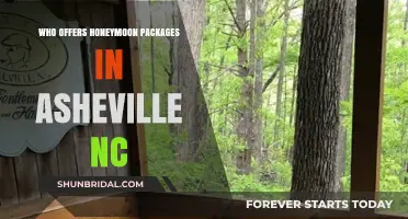 Romantic Getaways: Top Asheville NC Honeymoon Package Providers