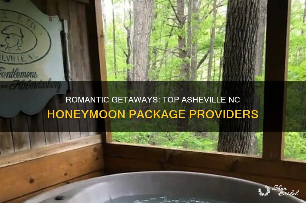 who offers honeymoon packages in asheville nc