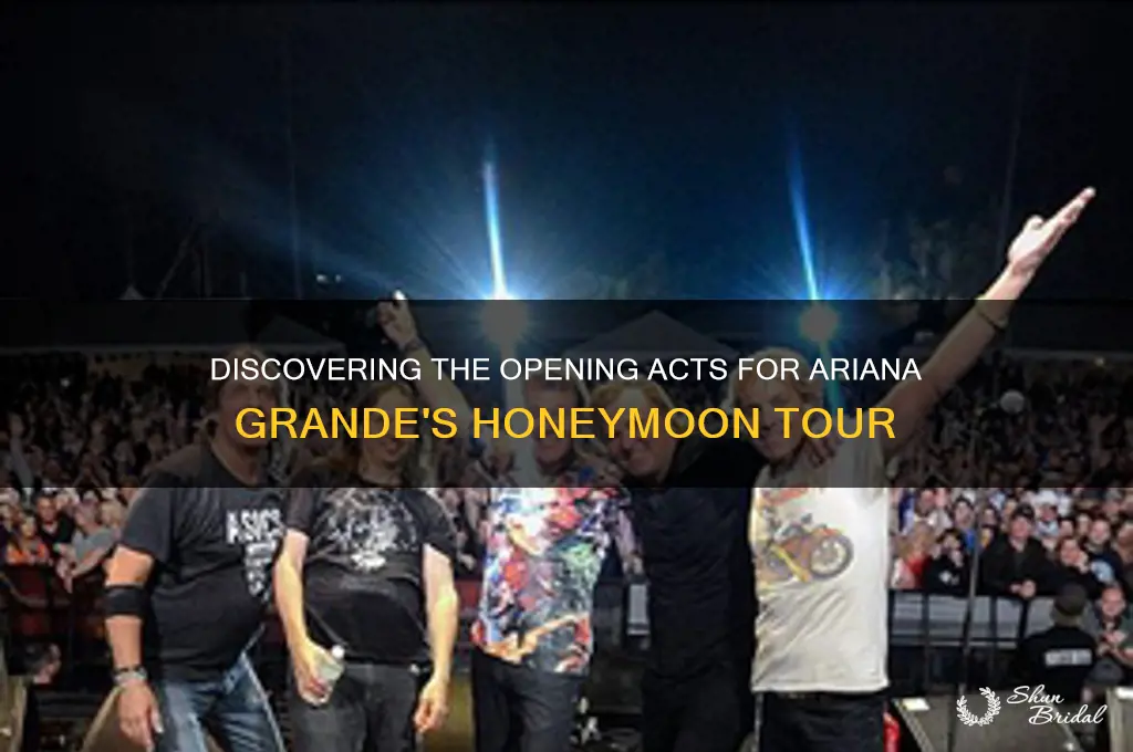 who opened for the honeymoon tour