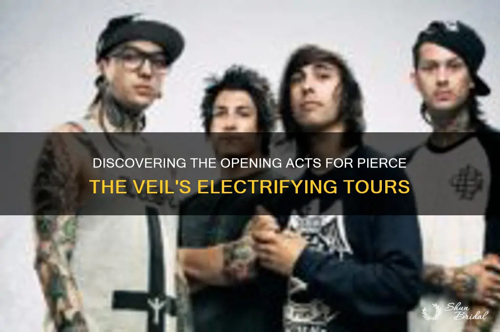 who opens for pierce the veil