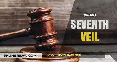 Unveiling the Mystery: Who Owns Seventh Veil?