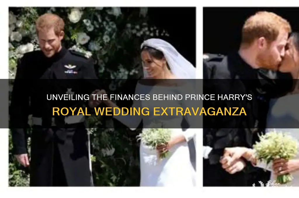 who paid for harry