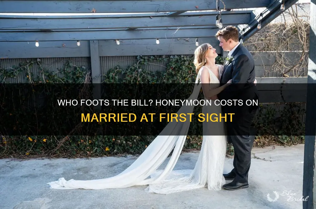 who pays for the honeymoon on married at first sight