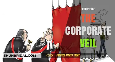 Piercing the Corporate Veil: Who Can Hold Owners Accountable?