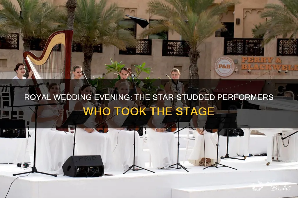 who played at the royal wedding evening