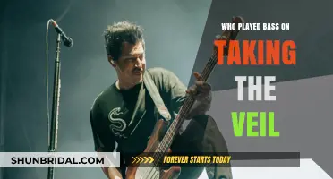 Unveiling the Bassist: Who Played on 'Taking the Veil'?