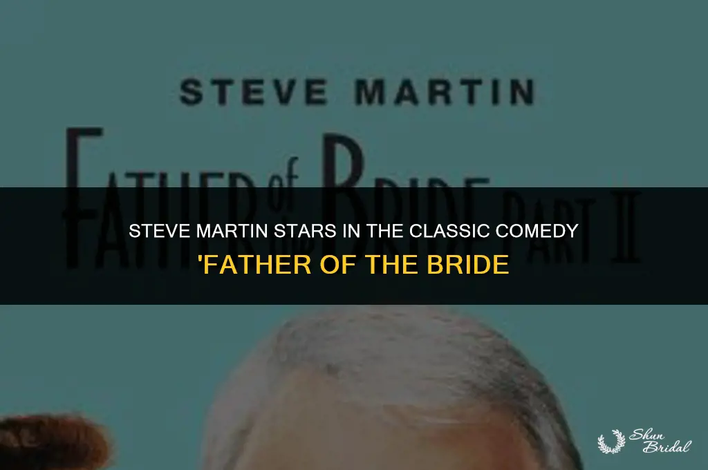 who played in father of the bride