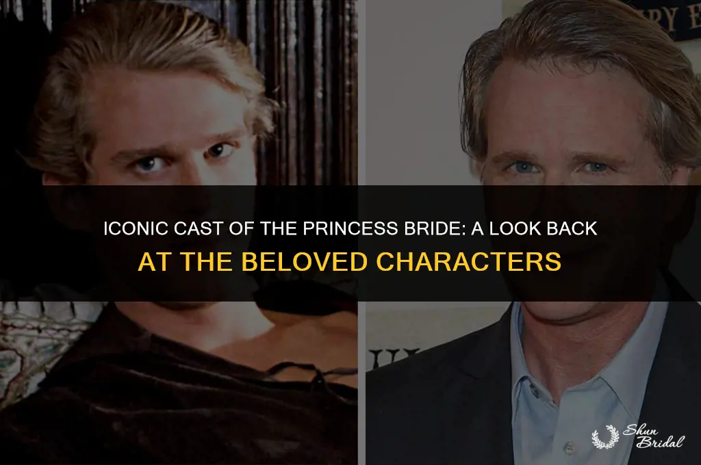who played in the princess bride