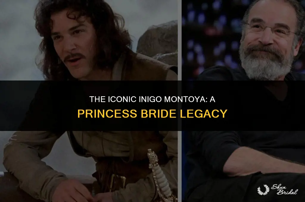 who played inigo montoya in the princess bride