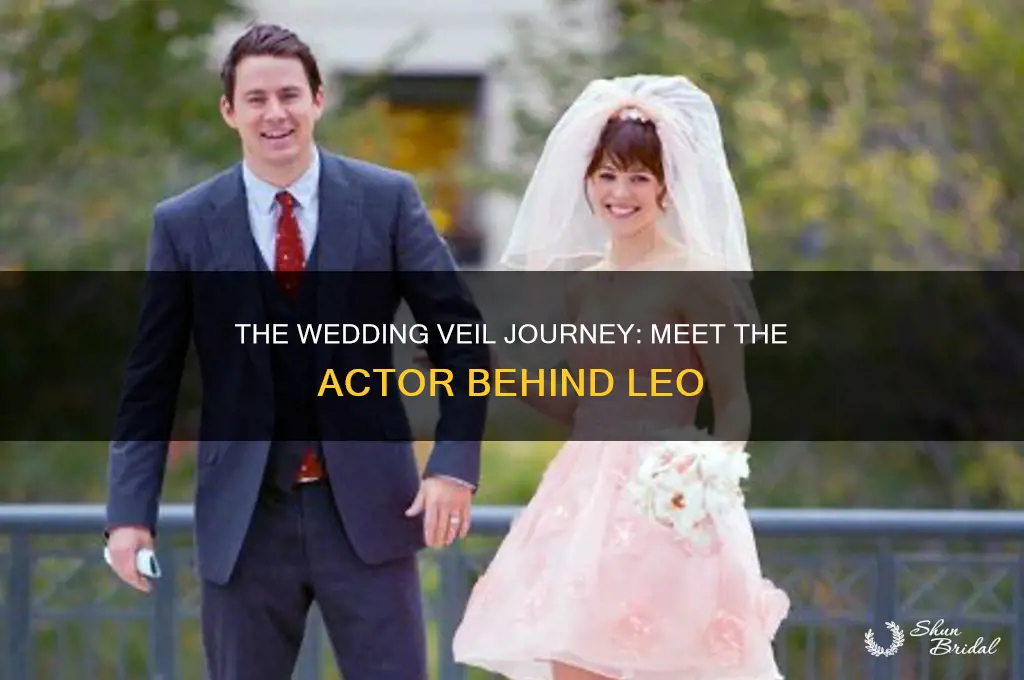 who played leo in the wedding veil journey