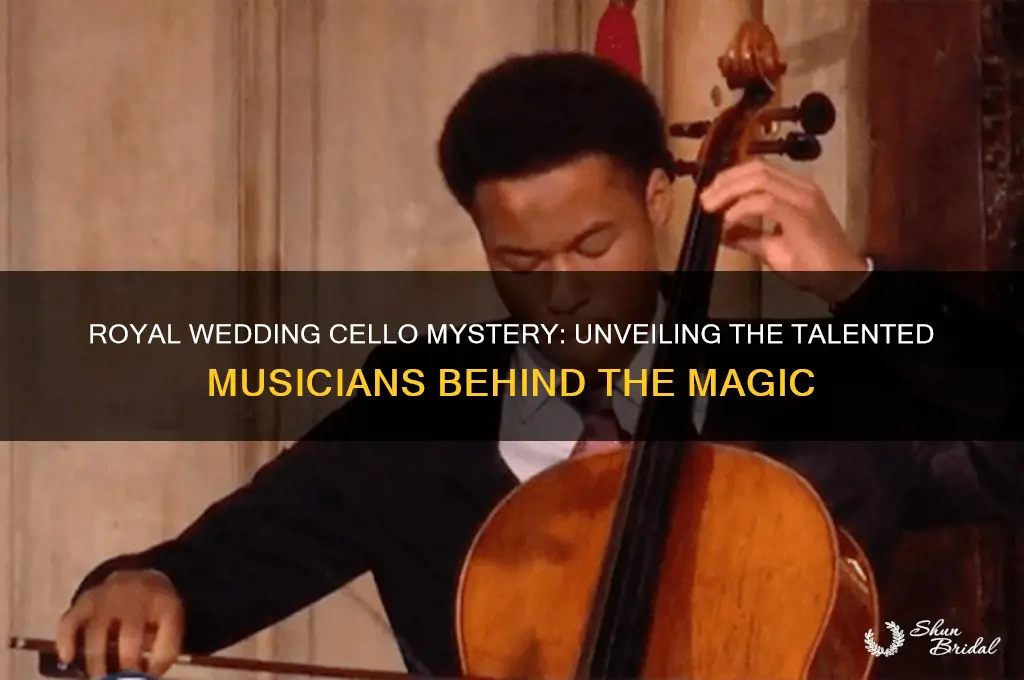 who played the celli for royal wedding